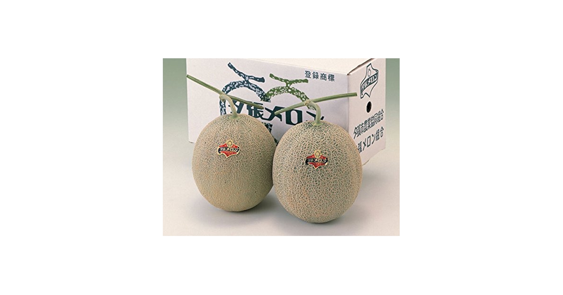 【トシユキ】【共撰品】夕張メロン　優品6玉入　8kg箱 gy1912a.jpg